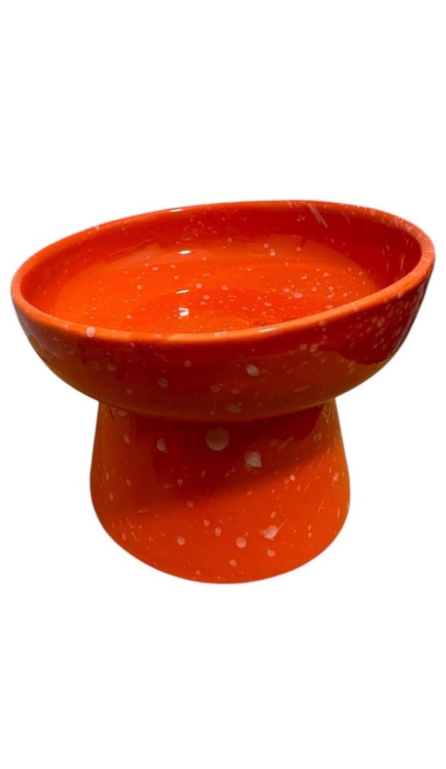 1.Kalite Seramik Ergonomik Kedi Mama Su Kabı - Görsel 4