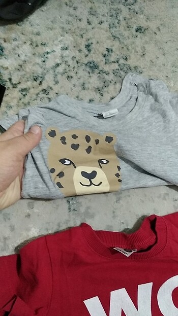 12-18 Ay Beden çeşitli Renk Tshirt