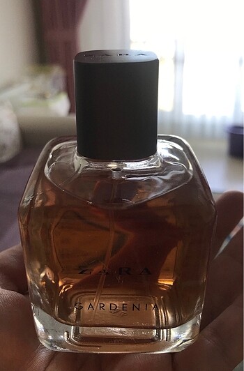 zara gardenia