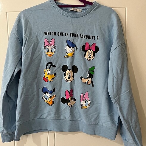 sweatshirt
