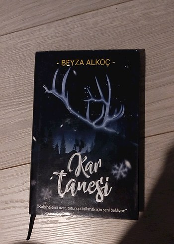  Beden Beyza Alkoç'tan Kar Tanesi ve Kar Küresi