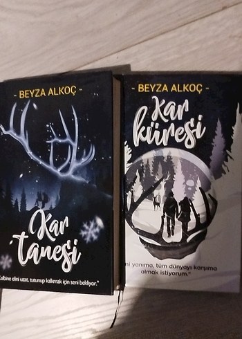 Beyza Alkoç'tan Kar Tanesi ve Kar Küresi