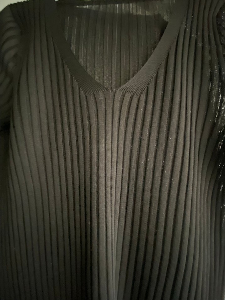 Transparan Kadın Siyah Pilili V Yaka Uzun Kollu - Görsel 4