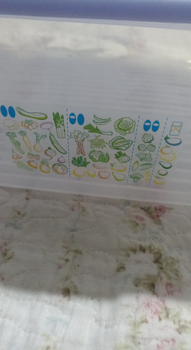 Mavi Kapaklı Tupperware Saklama Kabı - Görsel 3