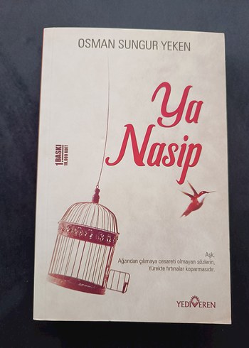  Yüreğimdeki Aşk Kıvılcımı - Linda Gillard