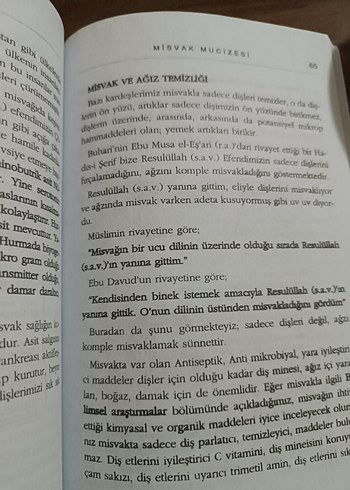  Beden Salvadora Persica Misvak Mucizesi Kitabı