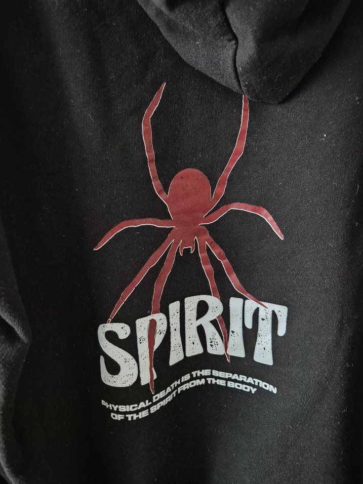 Spırıt baskılı kapüşonlu sweatshirt - Görsel 5