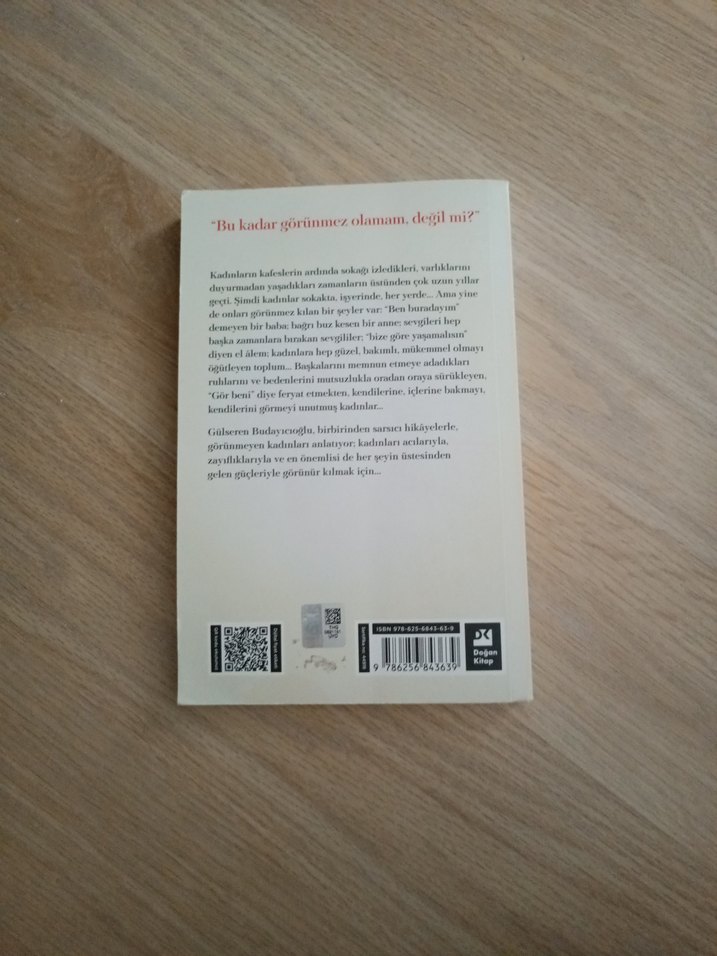Görünmeyen Kadınlar - Gülseren Budayıcıoğlu - Görsel 2