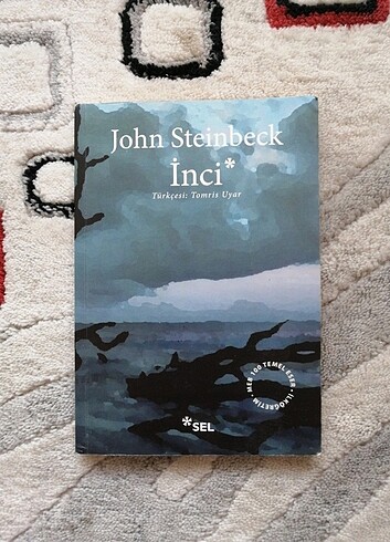 Simyacı ve inci kitap