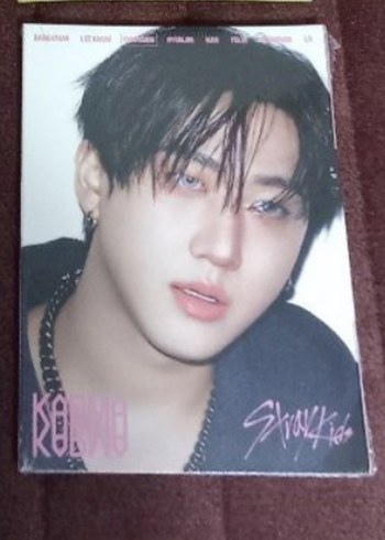 Stray Kids Karma poblu Album