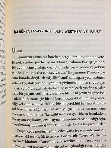 Niçin Ağlıyorsun Elisabeth - Görsel 4