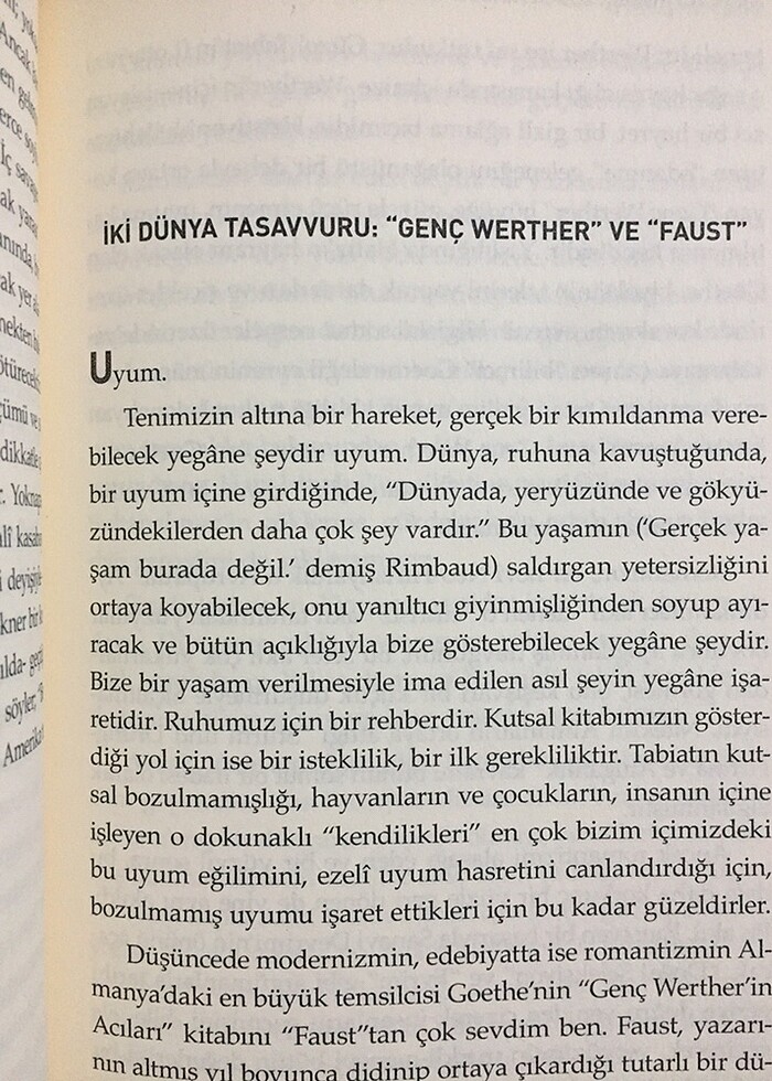 Niçin Ağlıyorsun Elisabeth - Görsel 4