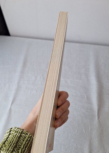 Tanzimat ve Türk Ailesi - Dilaver Cebeci - Görsel 5