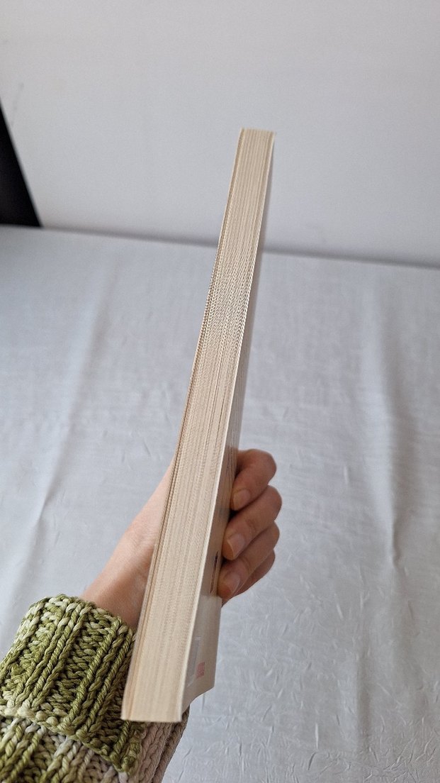 Tanzimat ve Türk Ailesi - Dilaver Cebeci - Görsel 5