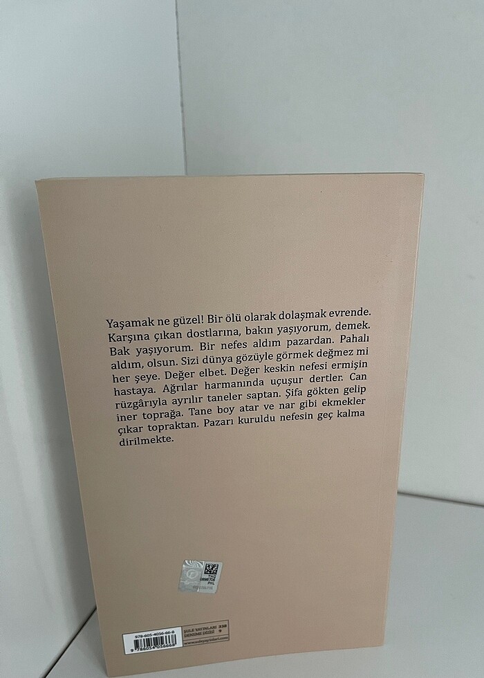 Ejderha ve Kelebek - Görsel 2