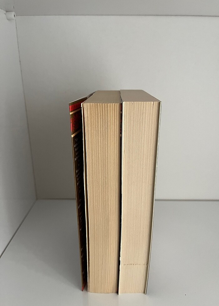 Rönesans - Görsel 3