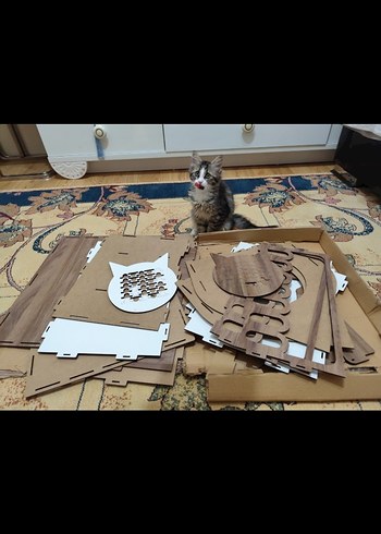 Ahşap Kedi Evi ve Oyun Alanı - Görsel 2