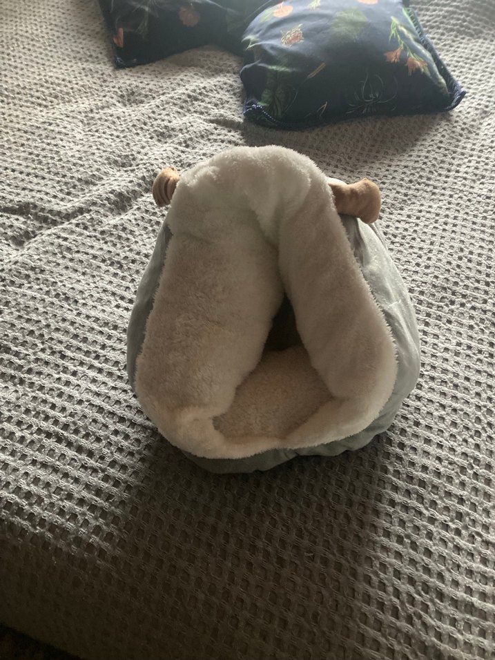 Kedi ve küçük ırk köpek yatağı - Görsel 2