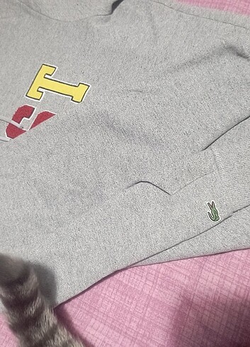 m Beden Çok yeni Lacoste sweatshirt