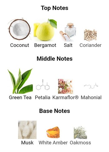Elizabeth Arden Elizabeth Arden Green Tea Coconut Breeze Kadın Parfümü