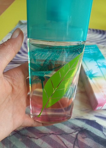 Beden Renk Elizabeth Arden Green Tea Coconut Breeze Kadın Parfümü