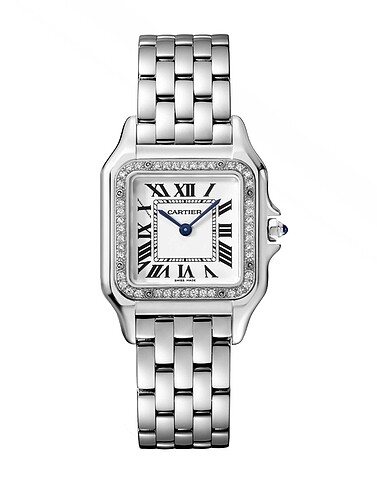 Cartier santos
