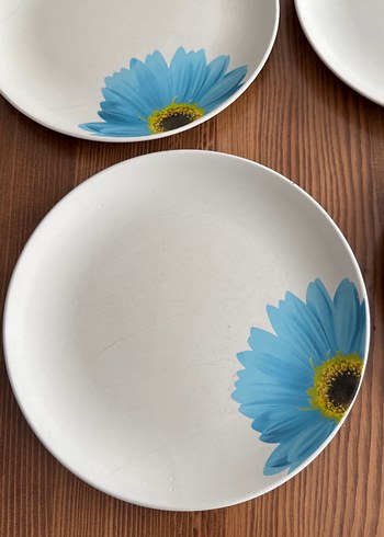 Mavi Çiçek Desenli 4 Parça Tabak Seti - Görsel 2