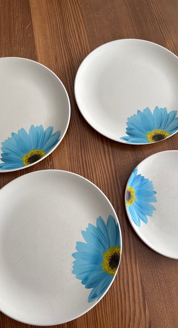 Mavi Çiçek Desenli 4 Parça Tabak Seti - Görsel 4