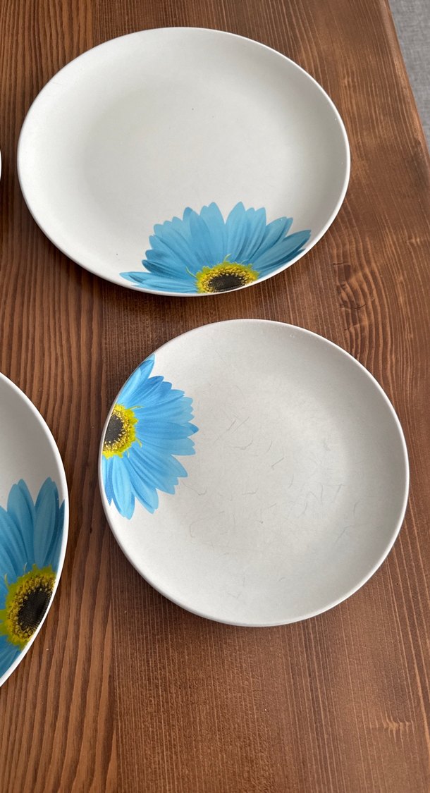 Mavi Çiçek Desenli 4 Parça Tabak Seti - Görsel 3