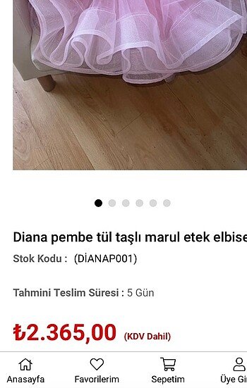Diğer Bebek Abiye