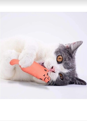 Çıngıraklı Kedi Otlu Kedi Oyuncağı 