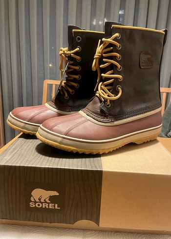 Sorel erkek kar botu - Görsel 2