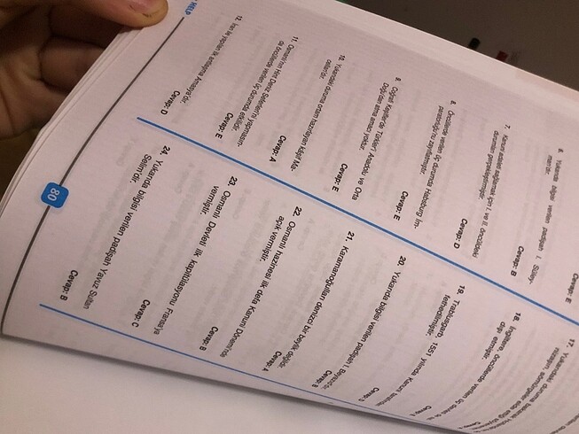 Soru Kalesi 10. Sınıf Tarih - Görsel 5