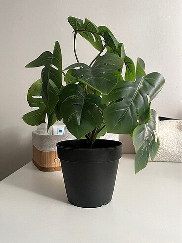 İkea yapay bitki monstera