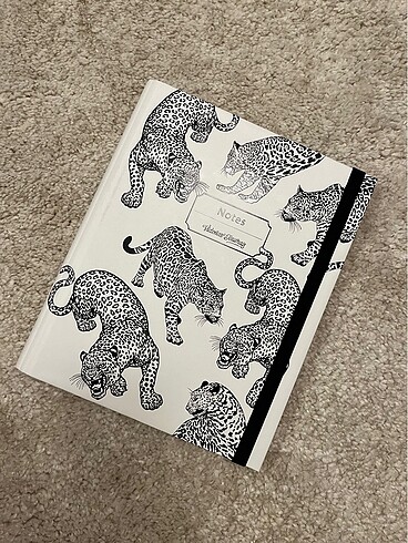 Victorias journals defter