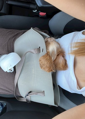  Beden Renk silikon köpek çantası