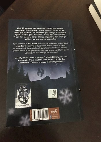 Kar Tanesi - Beyza Alkoç - Görsel 2