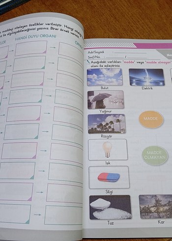 3.SINIF FEN BİLİMLERİ ÖĞRENİYORUM ÇALIŞKAN ARI YAYIN SIFIR ÖRNEK - Görsel 7