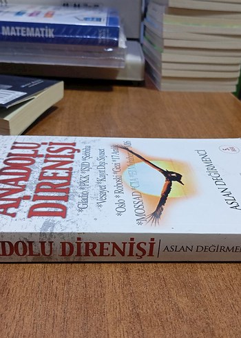 Beden ANADOLU DİRENİŞİ ASLAN DEĞİRMENCİ YENİ SIFIR KİTAP
