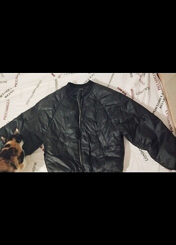 Zara Bomber ceket 