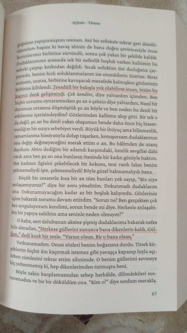 Humeyra Aşiyan Serisi Roman Seti - Görsel 5