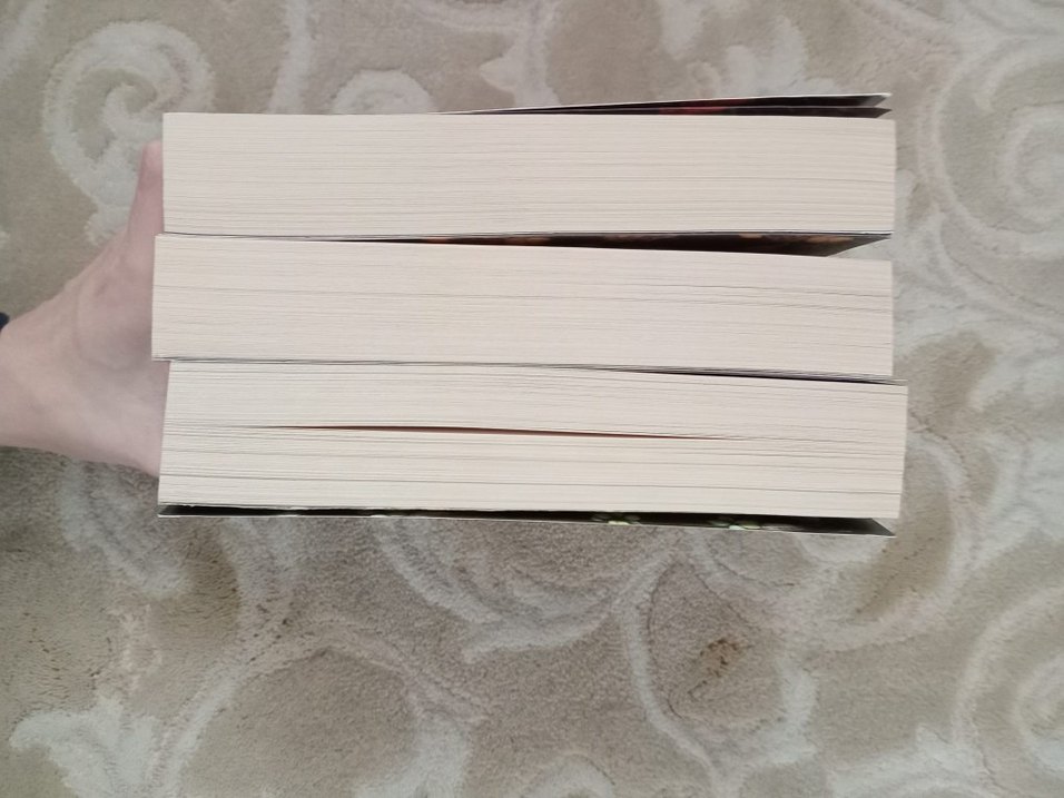 Humeyra Aşiyan Serisi Roman Seti - Görsel 4