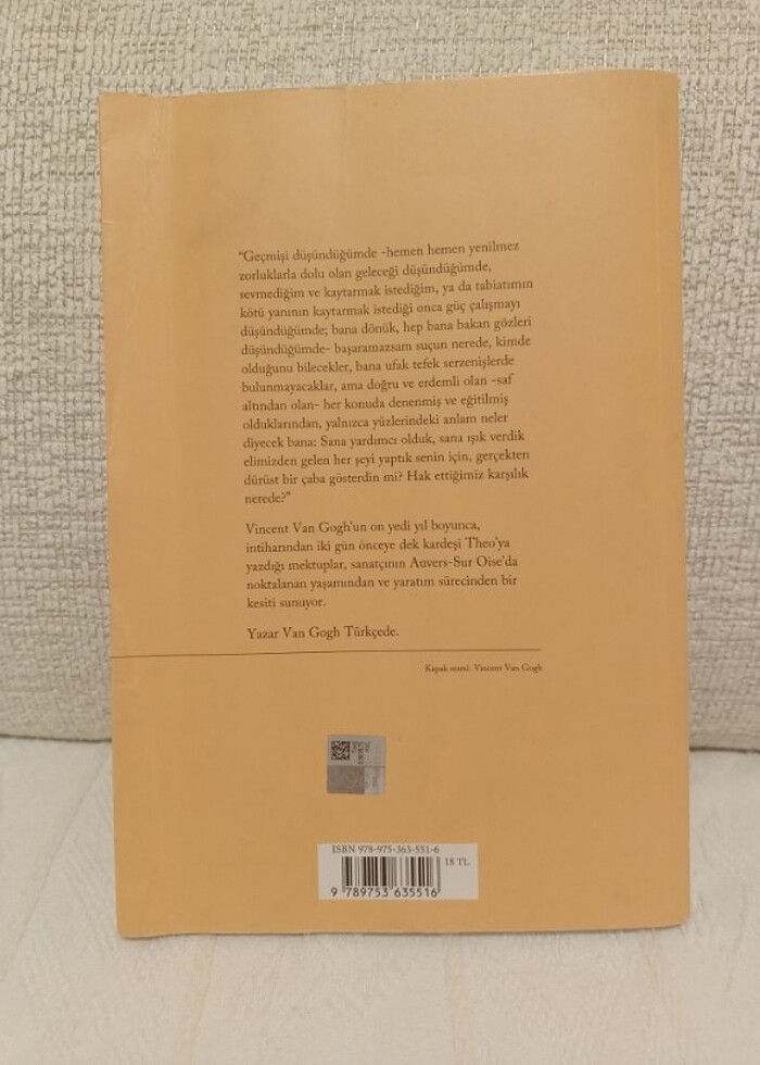 Vincent Van Gogh Theoya Mektuplar - Görsel 3