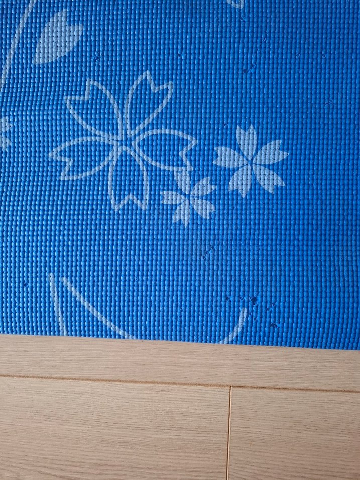 Volt Mavi Çiçek Desenli Egzersiz Matı - Görsel 2