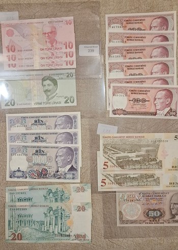 hazır koleksiyon yerli ve yabancı para koleksiyonu - Görsel 6