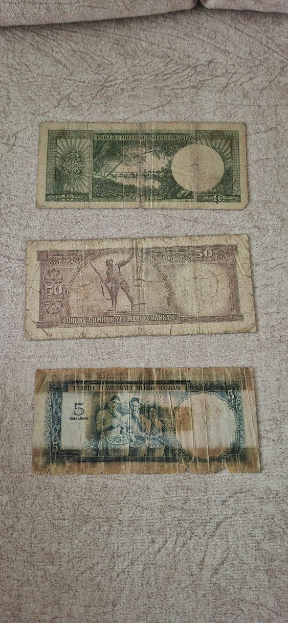 hazır koleksiyon yerli ve yabancı para koleksiyonu - Görsel 5