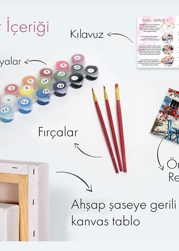 Beden pembe Renk Sayılarla tuval seti