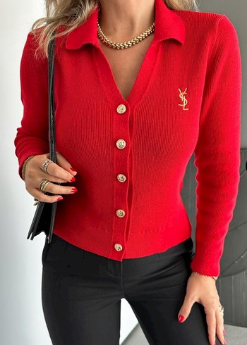 Yves Saint Laurent l