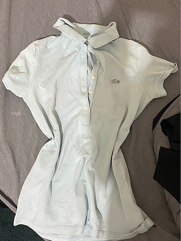 lacoste polo yaka