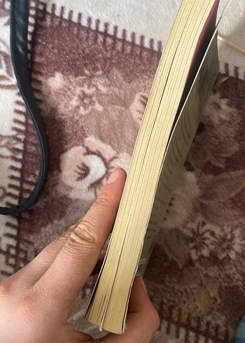 Yalnız İnsanlar Sokağı Romanı - Görsel 3